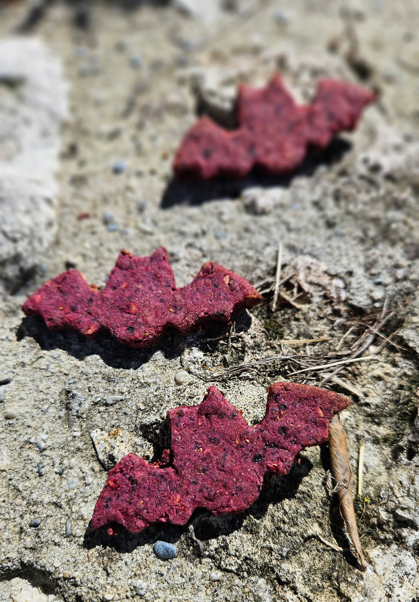 Very Berry Bats