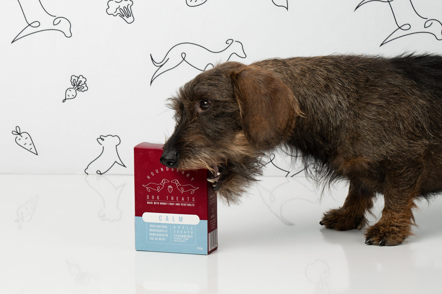 Calm Dog Treats