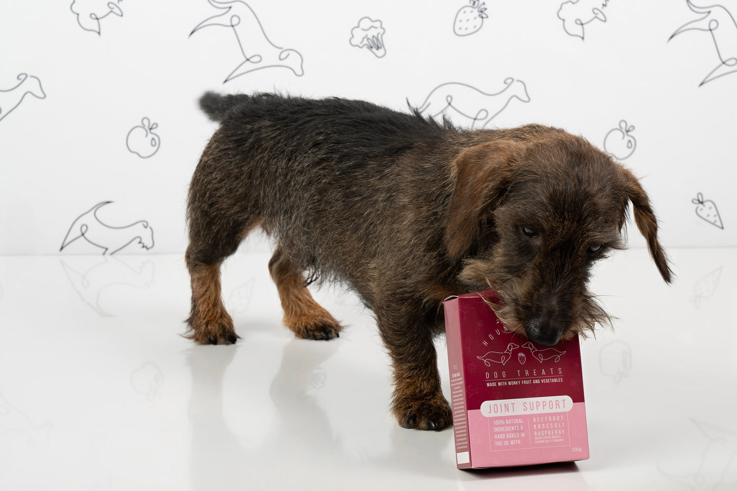 Joint Support Dog Treats