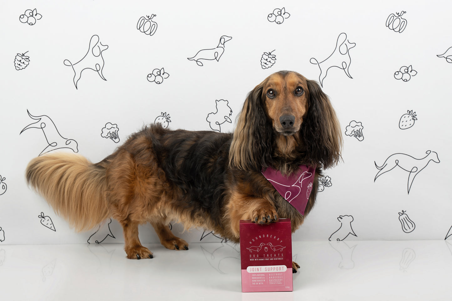 Joint Support Dog Treats
