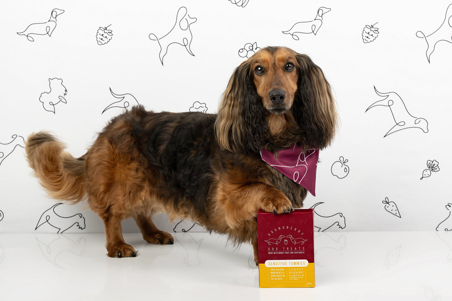 Sensitive Tummies Dog Treats