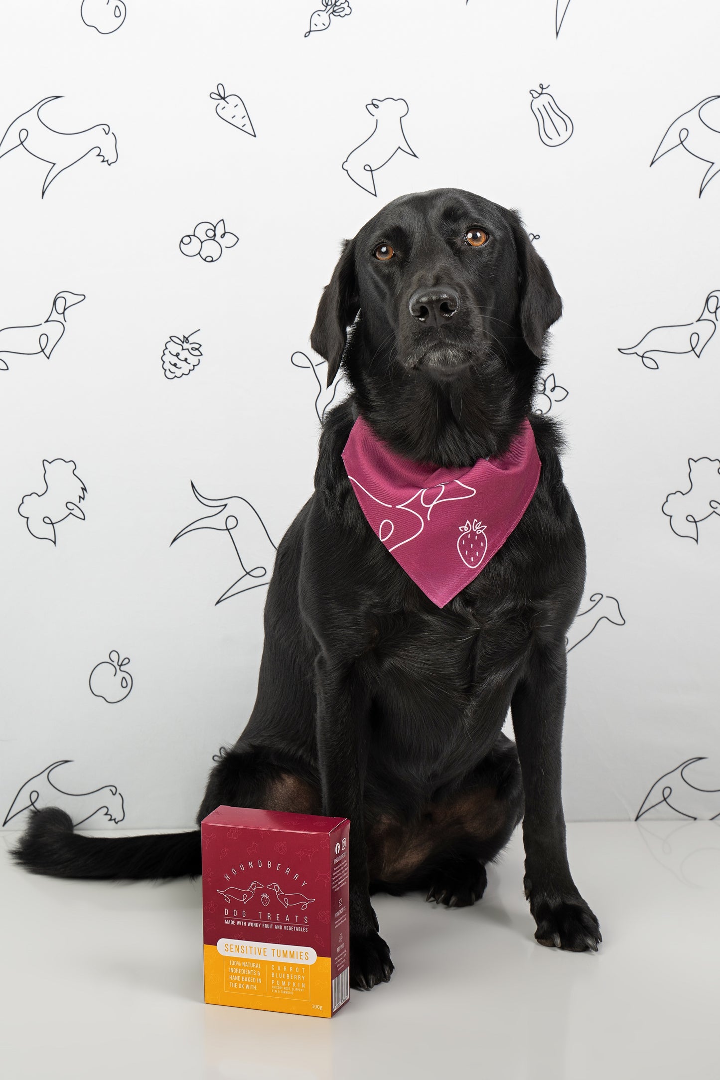 Sensitive Tummies Dog Treats