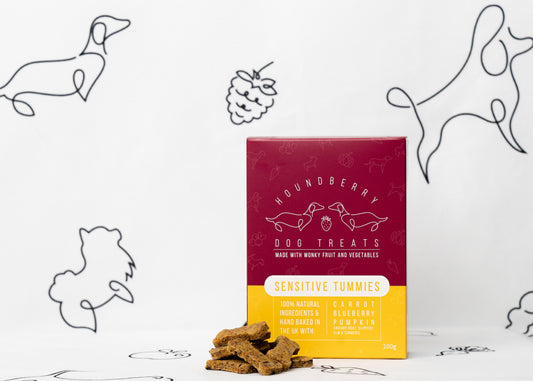 Sensitive Tummies Dog Treats