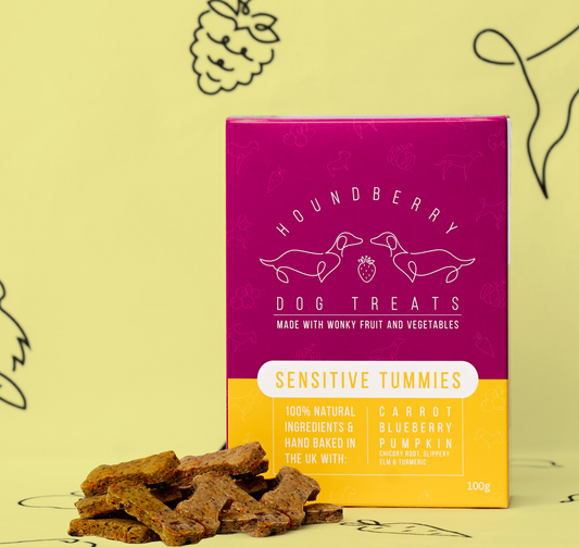Sensitive Tummies Dog Treats